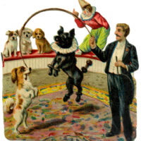 circus dogs act performer illustration