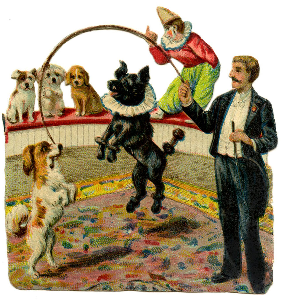 circus dogs act performer illustration