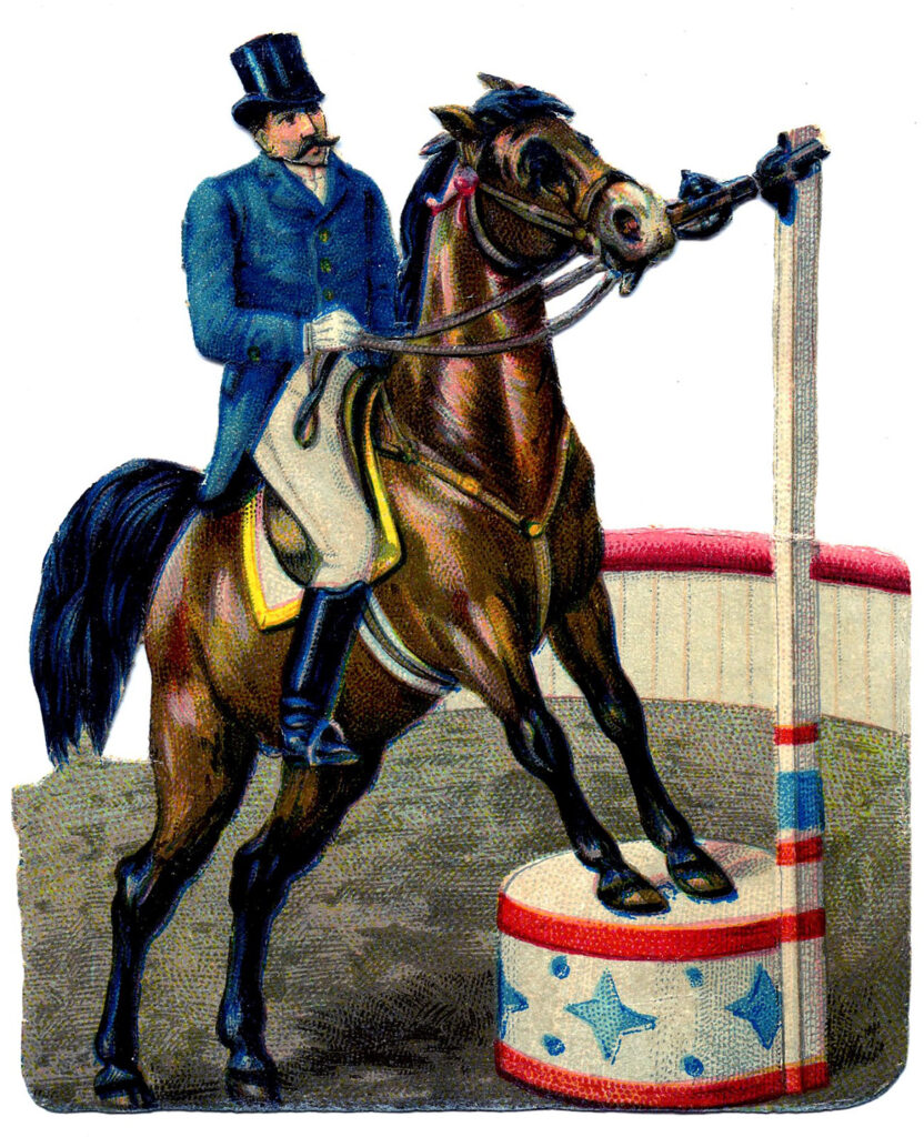 circus horse performer illustration