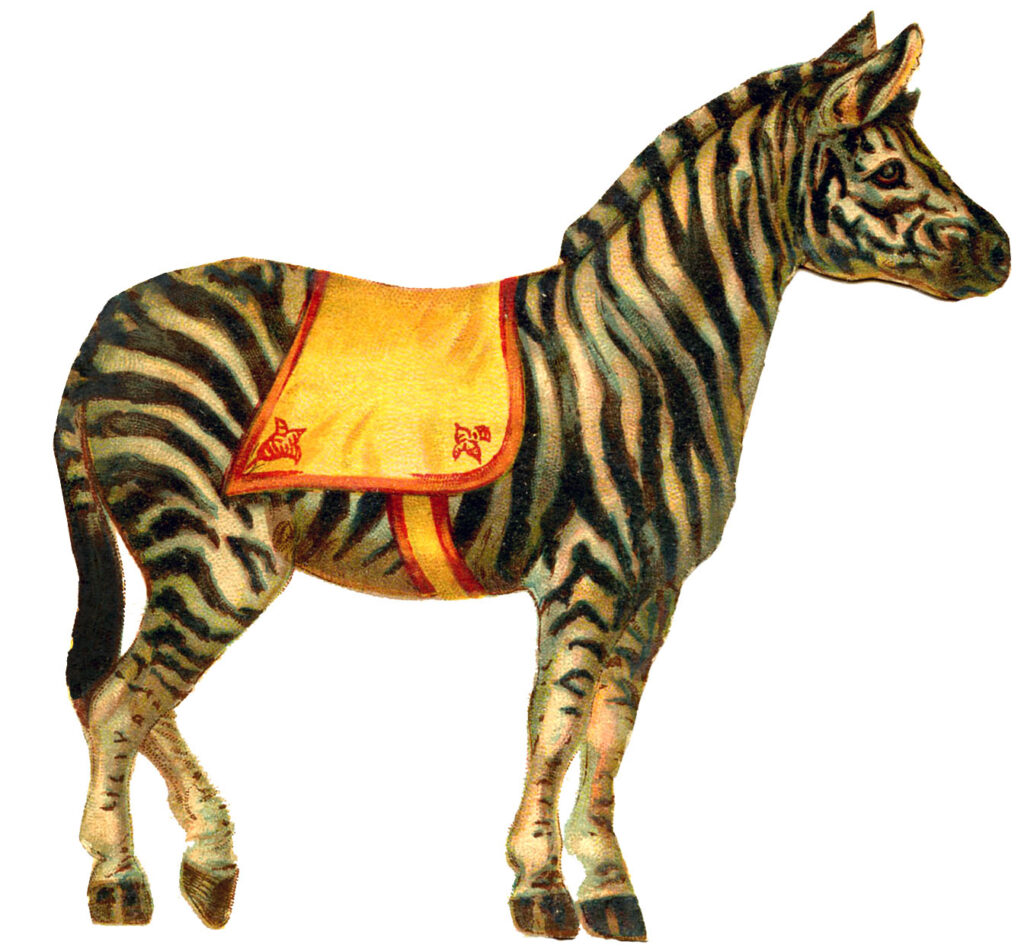 vintage circus zebra yellow saddle clipart