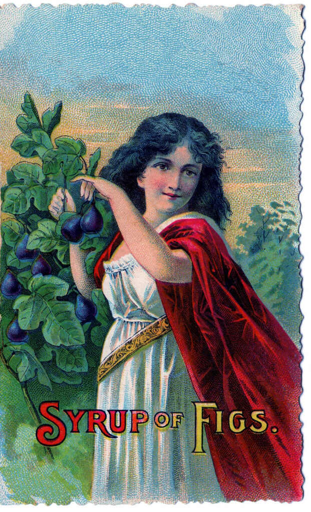 vintage girl picking figs red cape illustration