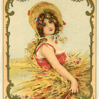 woman harvest sheaves wheat illustration