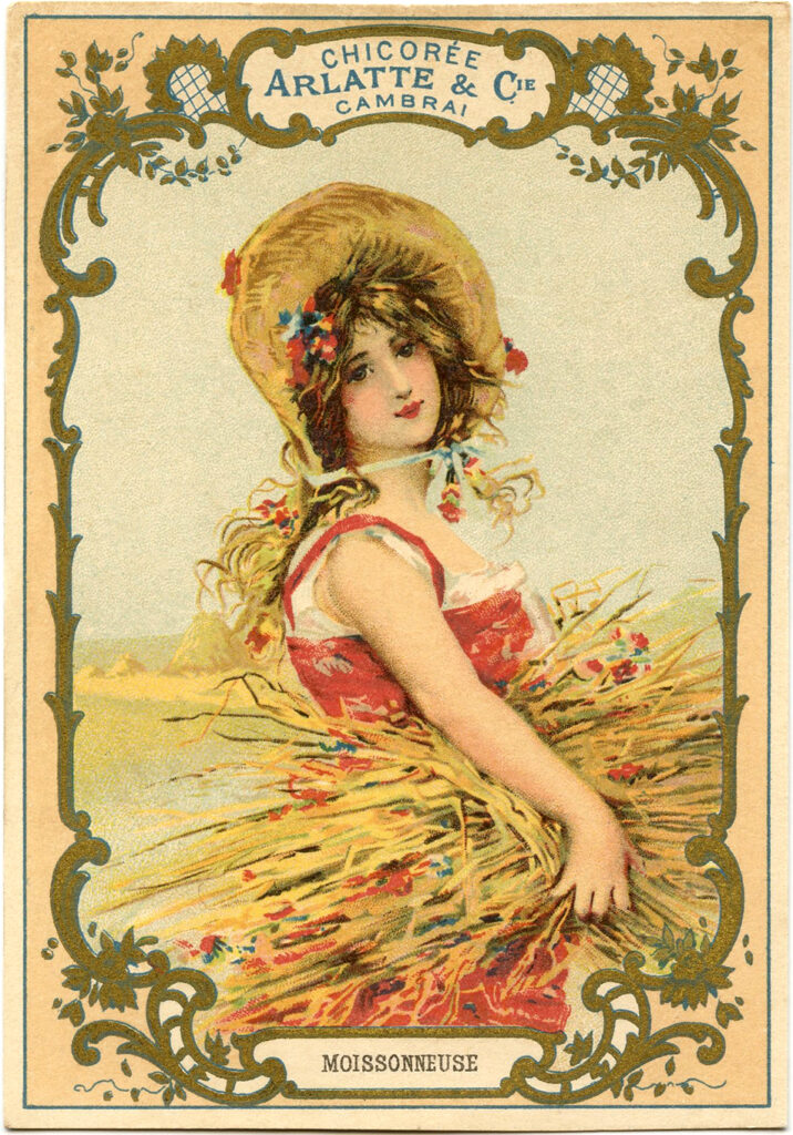 woman harvest sheaves wheat illustration