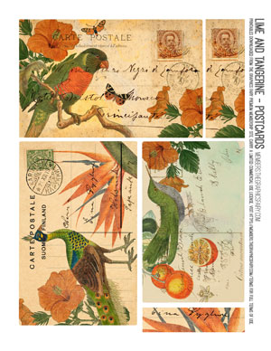 tropical collage with birds
