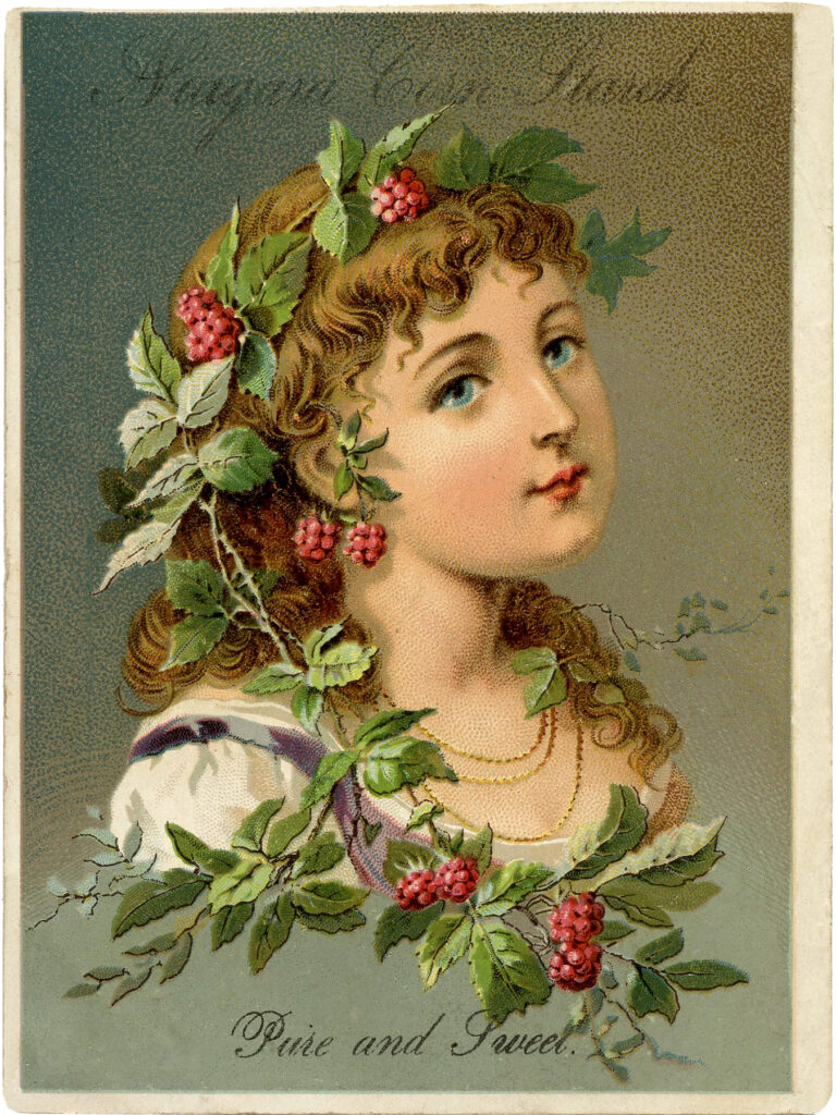 raspberry vine girl illustration