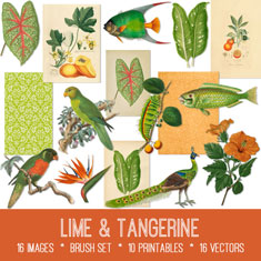 vintage lime & tangerine ephemera bundle