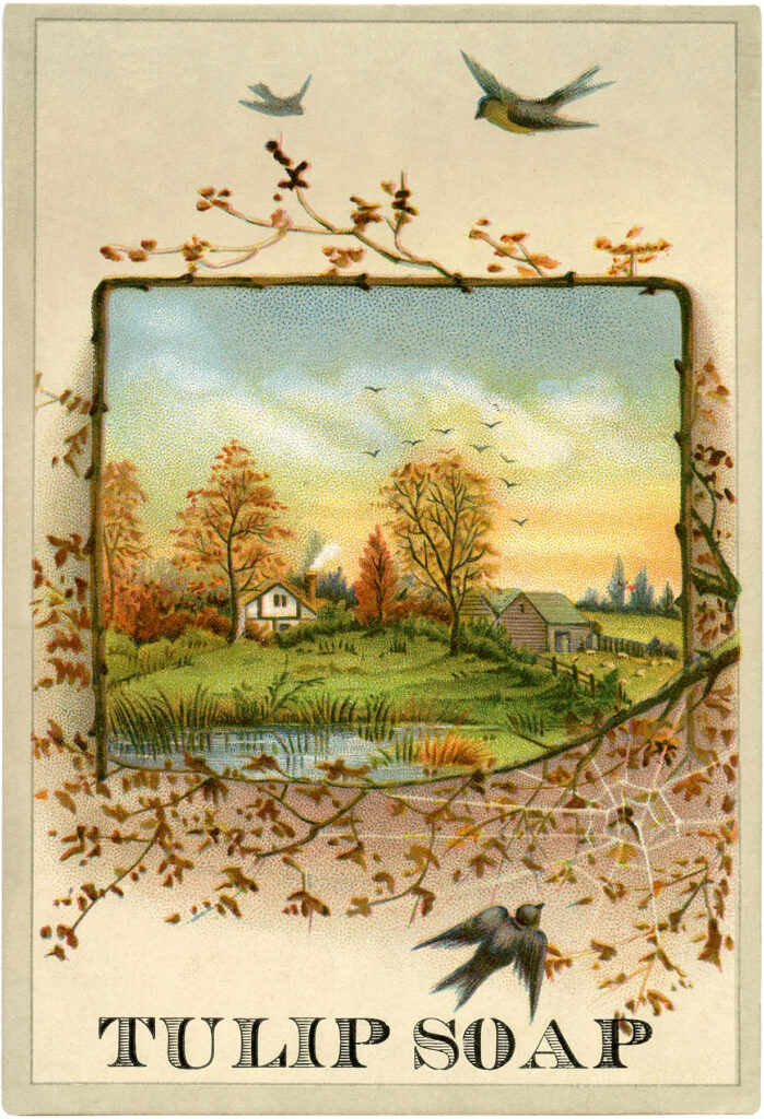 Autumn landscape scene with birds house pond image