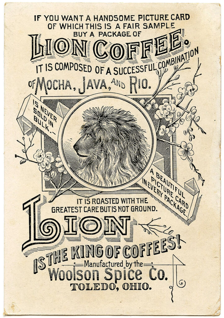 Lion coffee vintage ad typography illustration