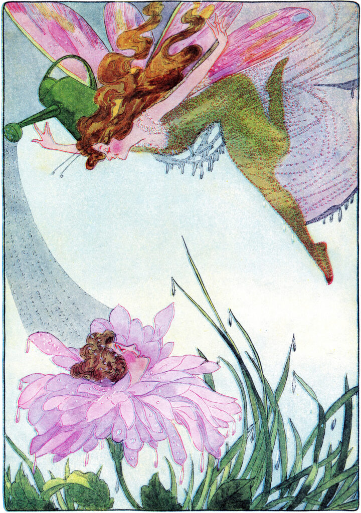garden fairy purple flower image