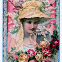 lady blooms bonnet soap illustration