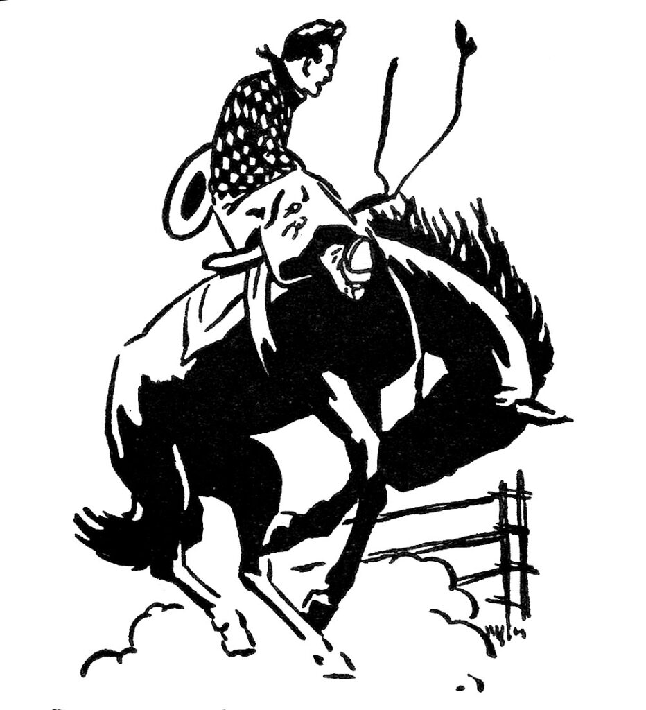 rodeo cowboy bucking horse lasso illustration