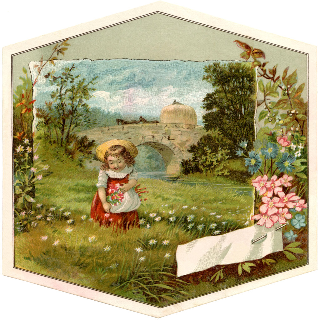 spring wildflower girl image