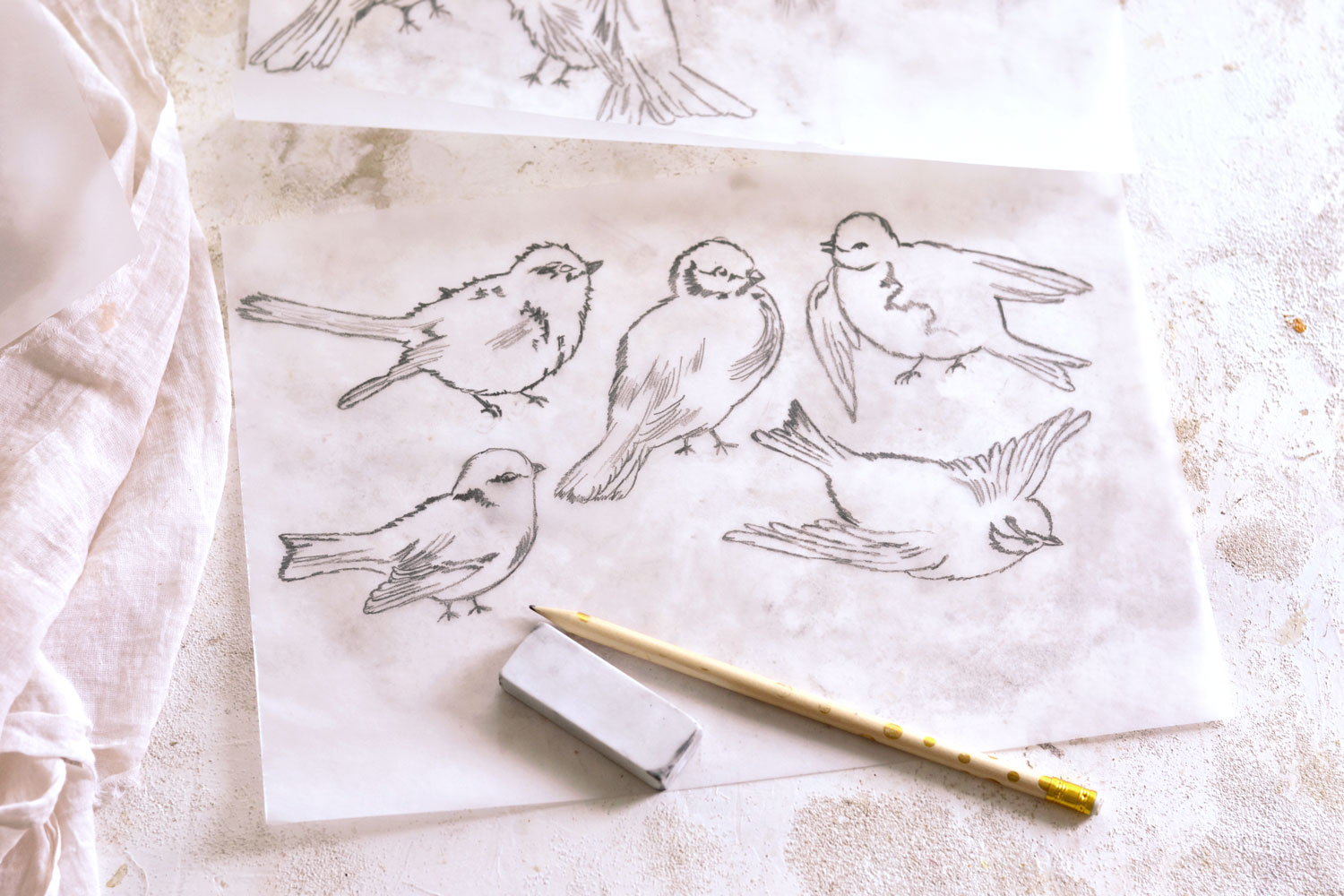 DIY Tracing Paper Sketch Birds