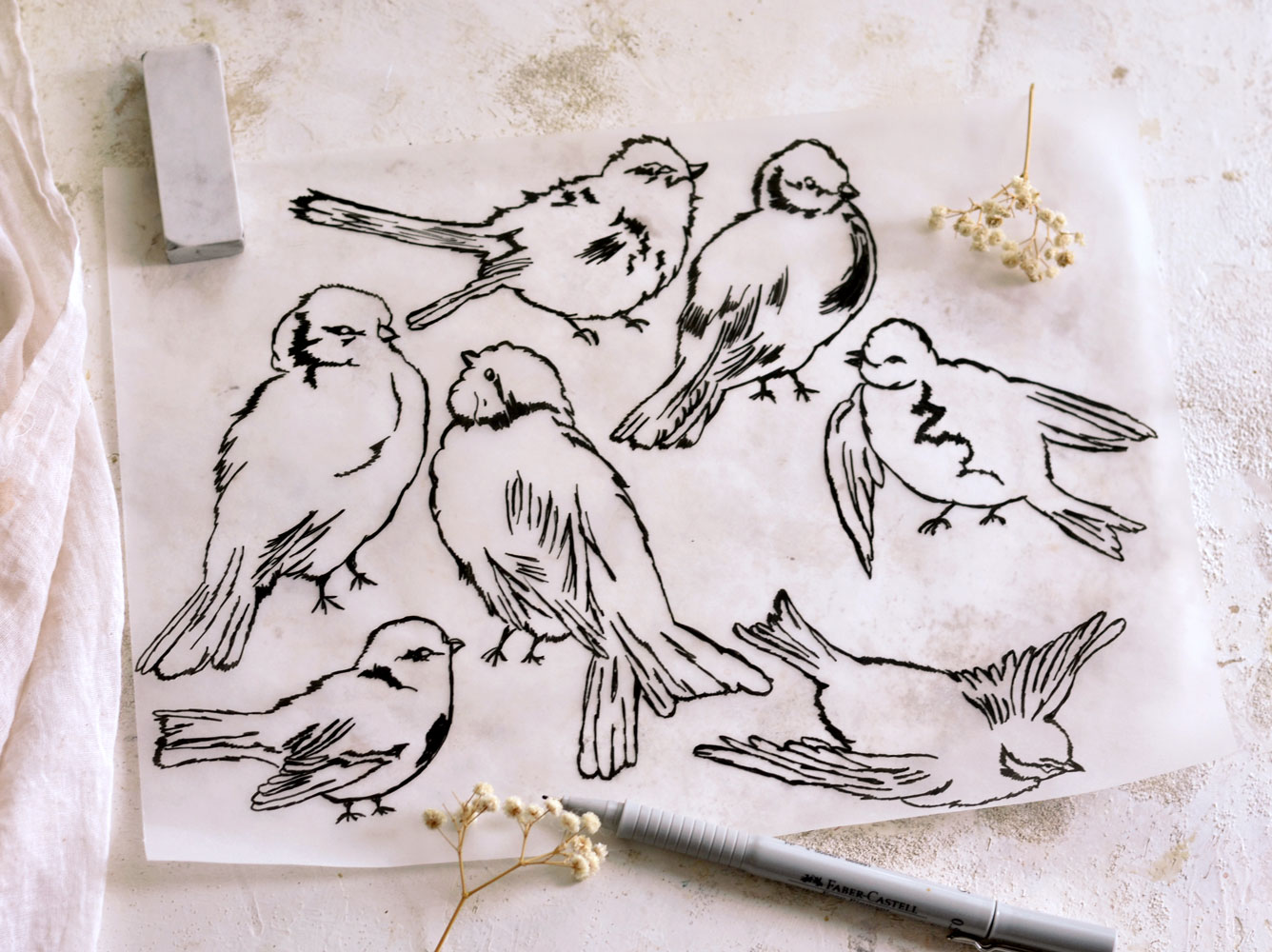 DIY Tracing Paper Sketch Birds