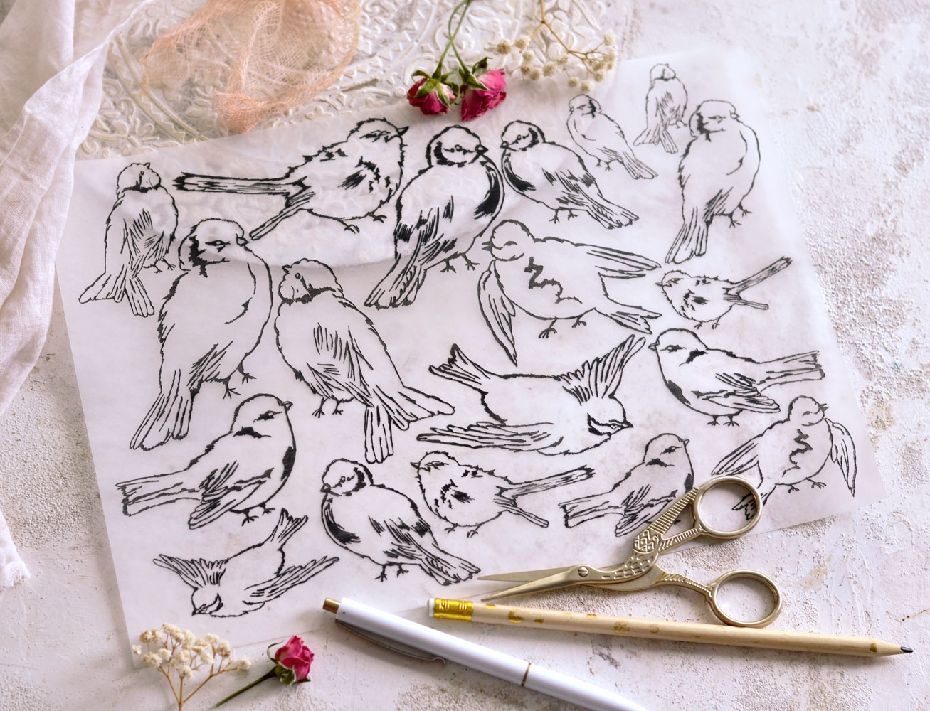 tracing paper birds