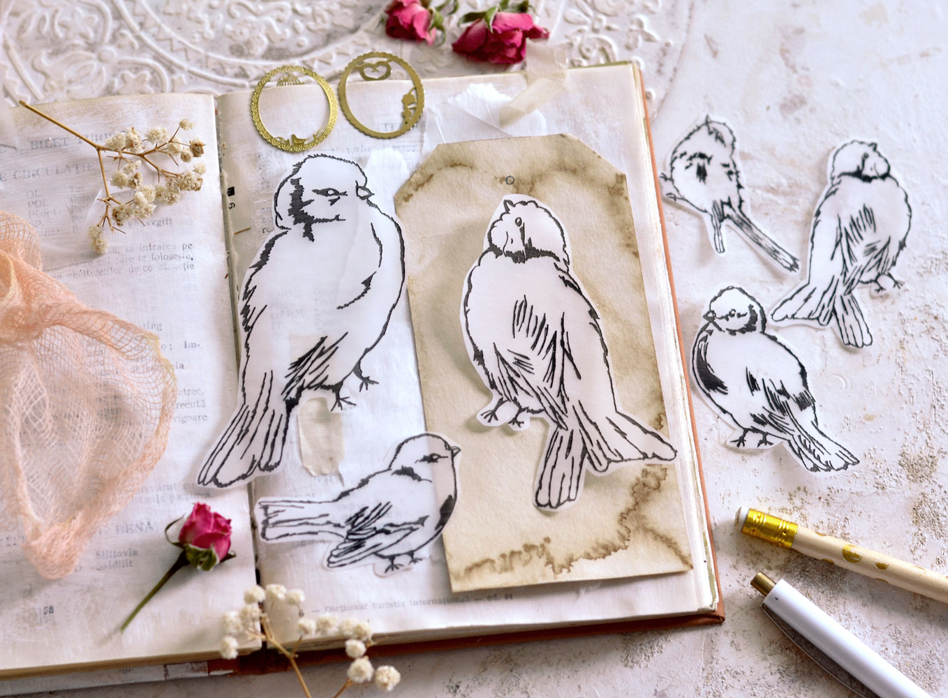 DIY Tracing Paper Sketch Birds