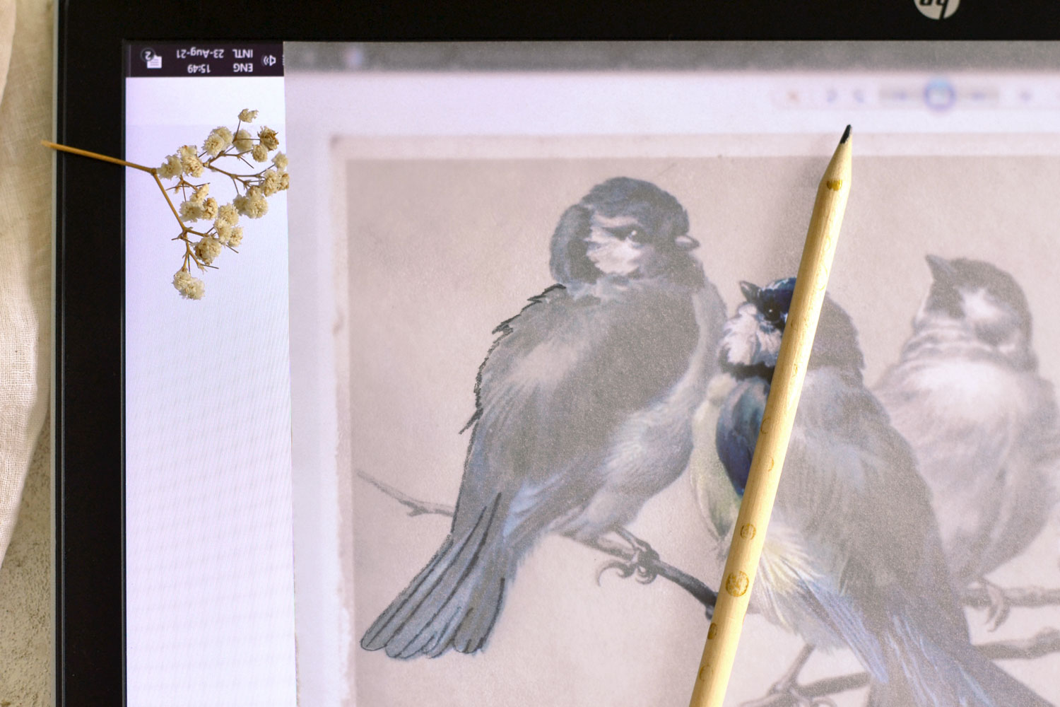 DIY Tracing Paper Sketch Birds