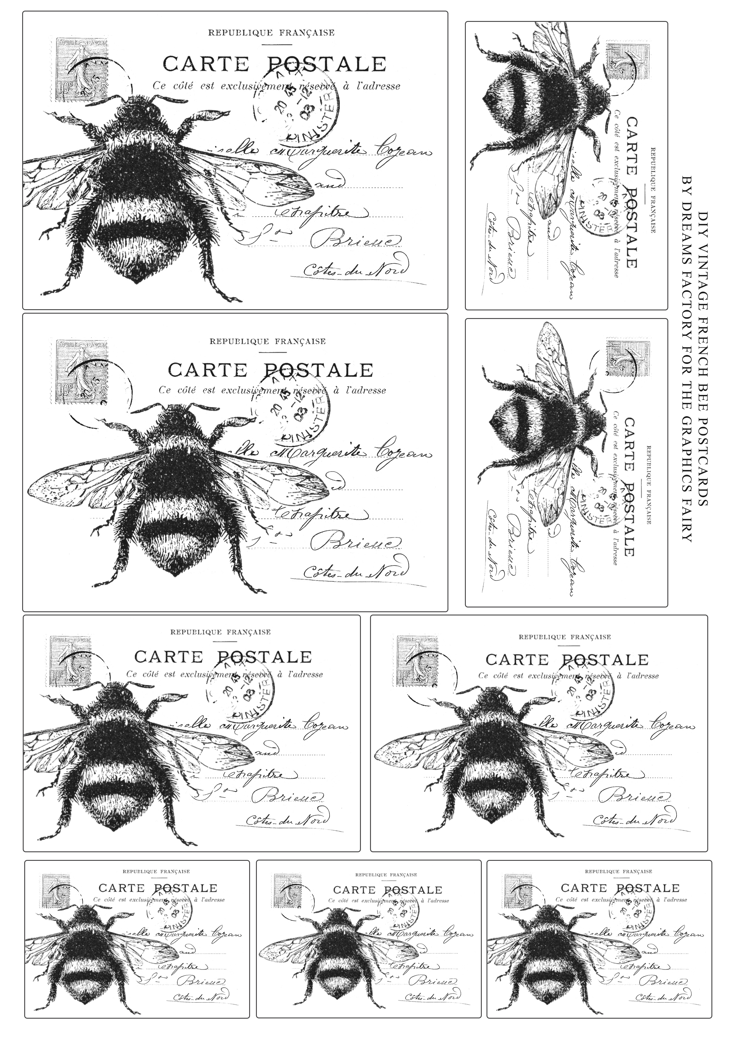 french bee illustration