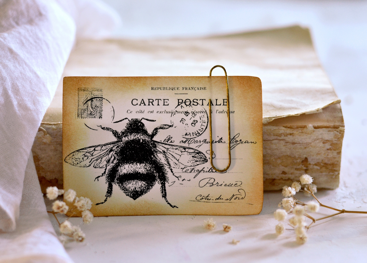 Vintage bee postcard