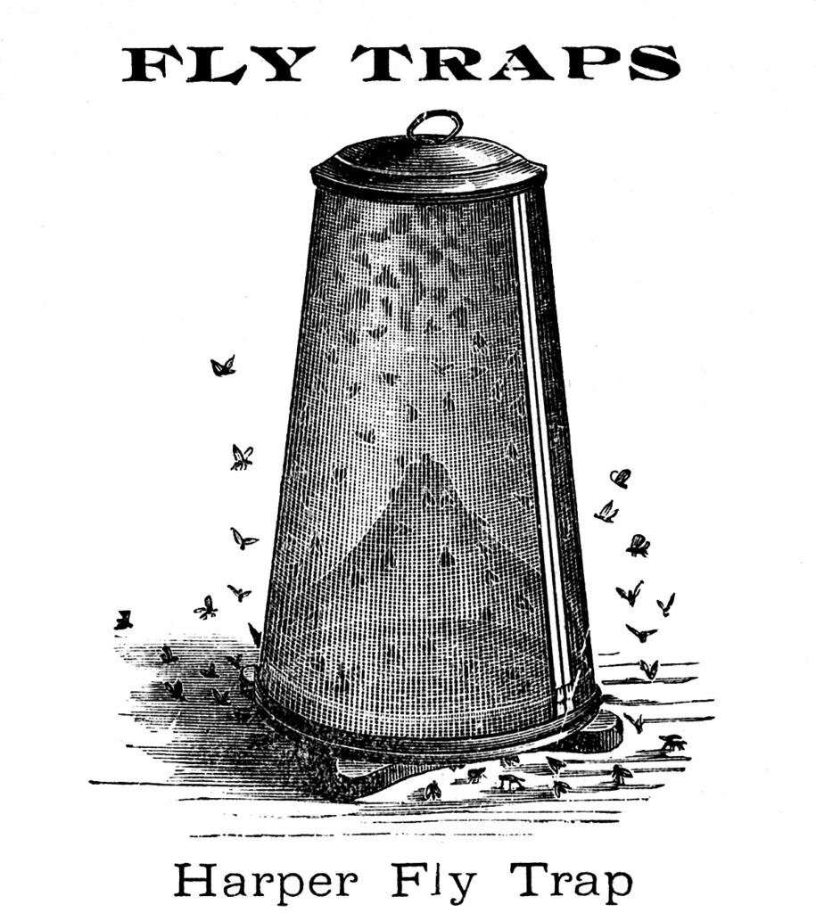 fly trap vintage illustration