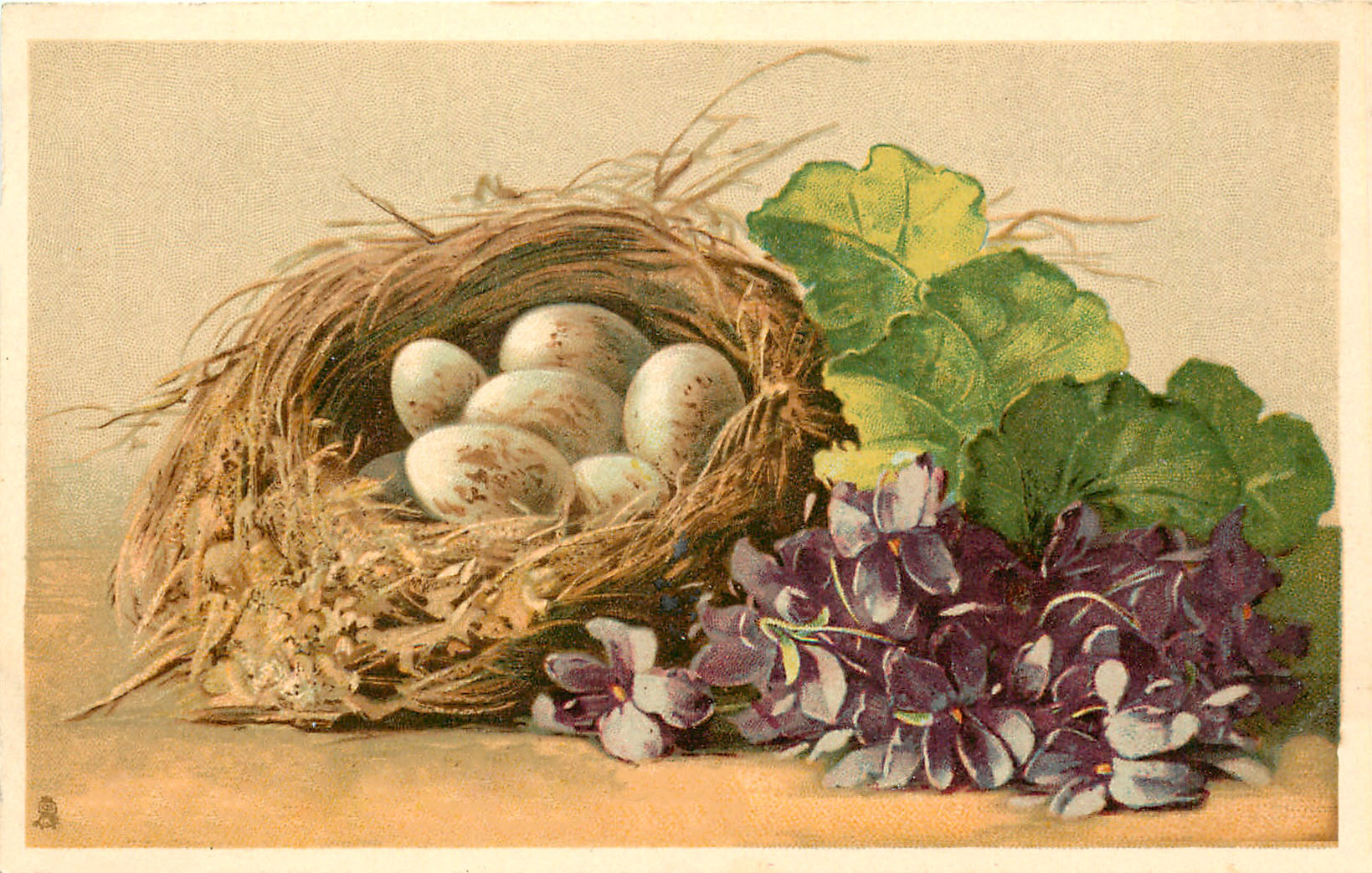 Nest with Violets Clipart