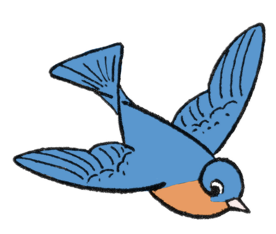 Flying Bird Drawing in Salem - Dealers, Manufacturers & Suppliers - Justdial