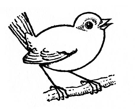 bird black and white drawing