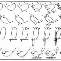 how to draw birds vintage lesson image