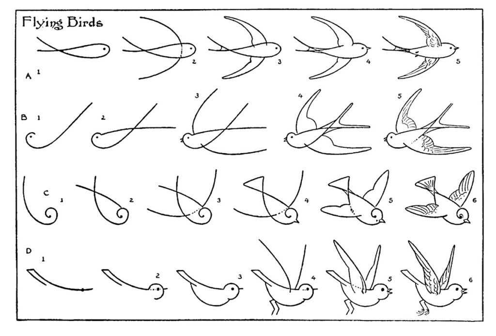 how to draw bird pictures to print