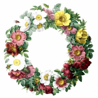 colorful floral wreath clipart