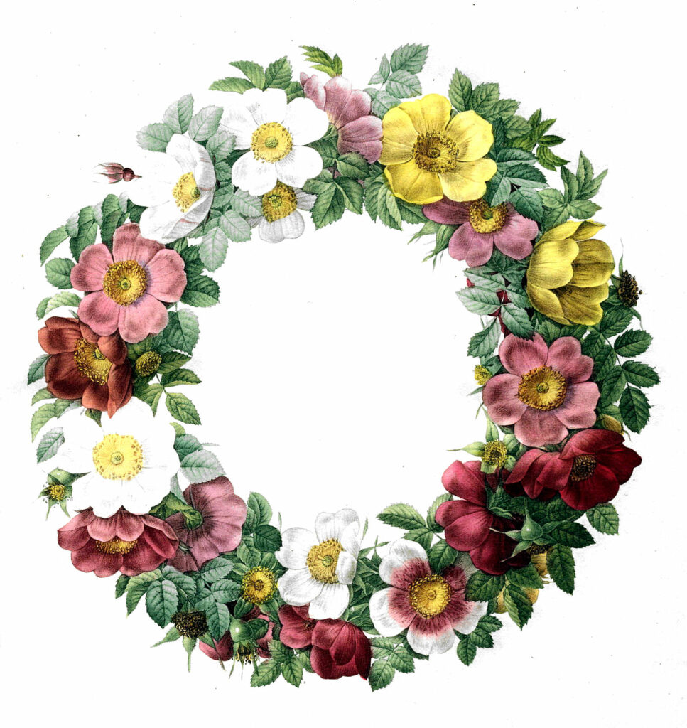 colorful floral wreath clipart