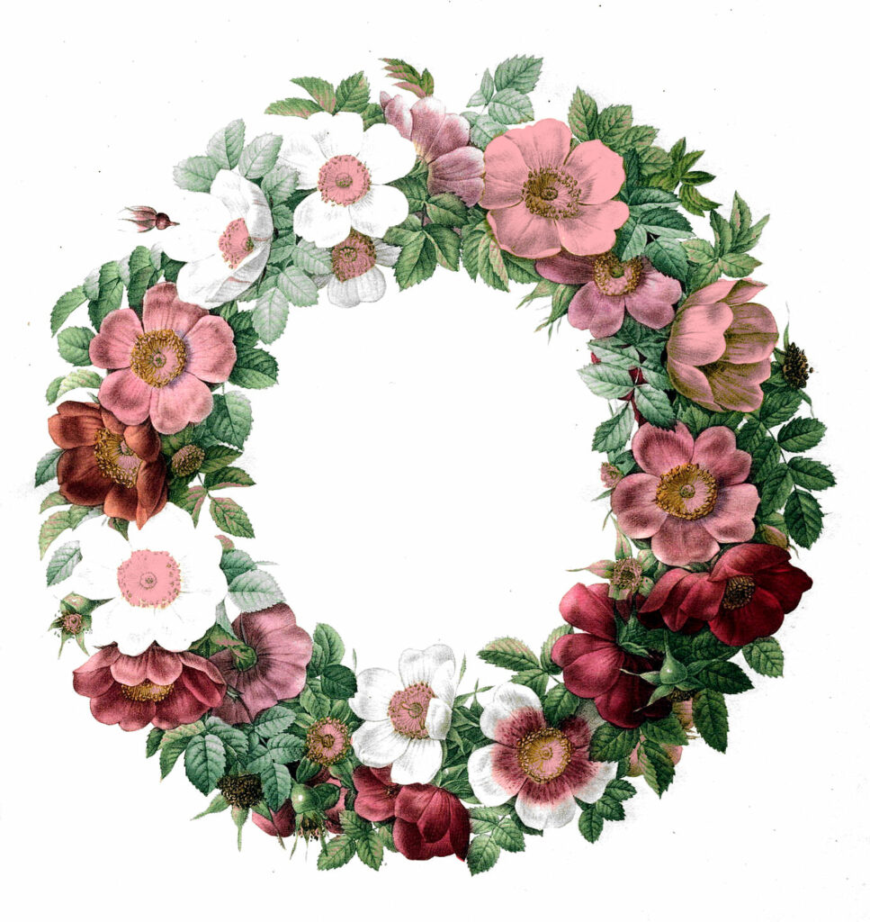 pink white flowers wreath clipart