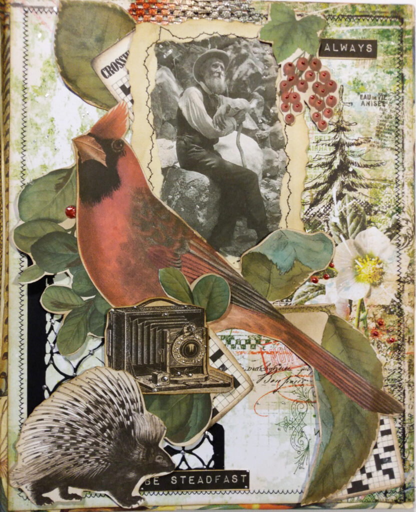 nature cardinal camera junk journal cover