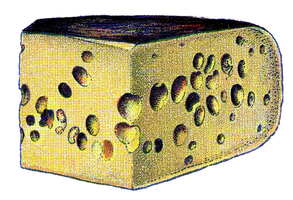 vintage gruyere cheese illustration