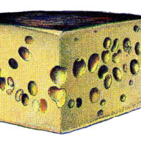 vintage gruyere cheese illustration