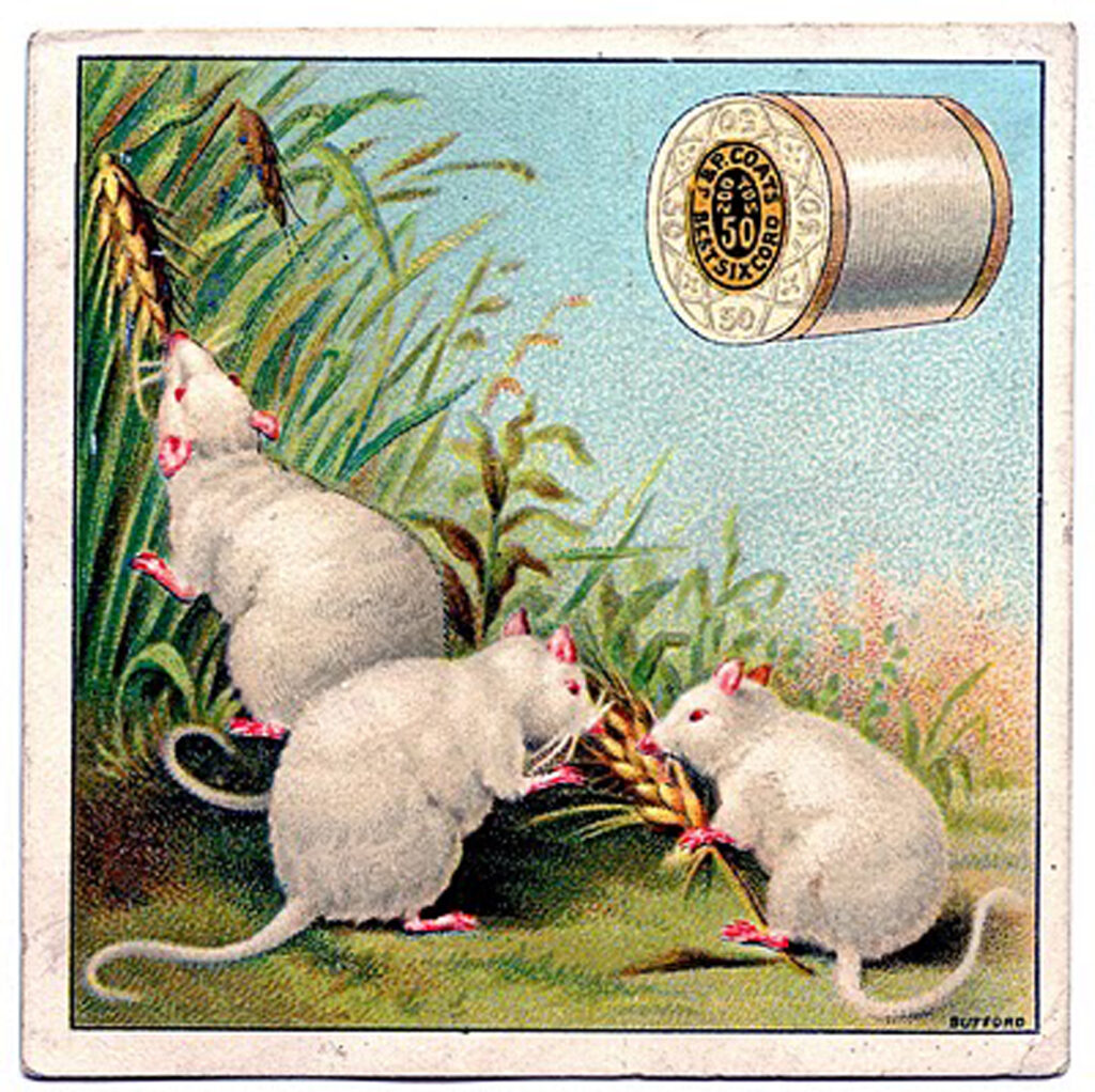 vintage thread ad white mice image