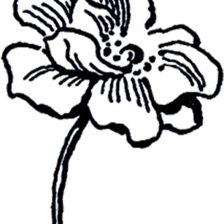 flower line drawing art image