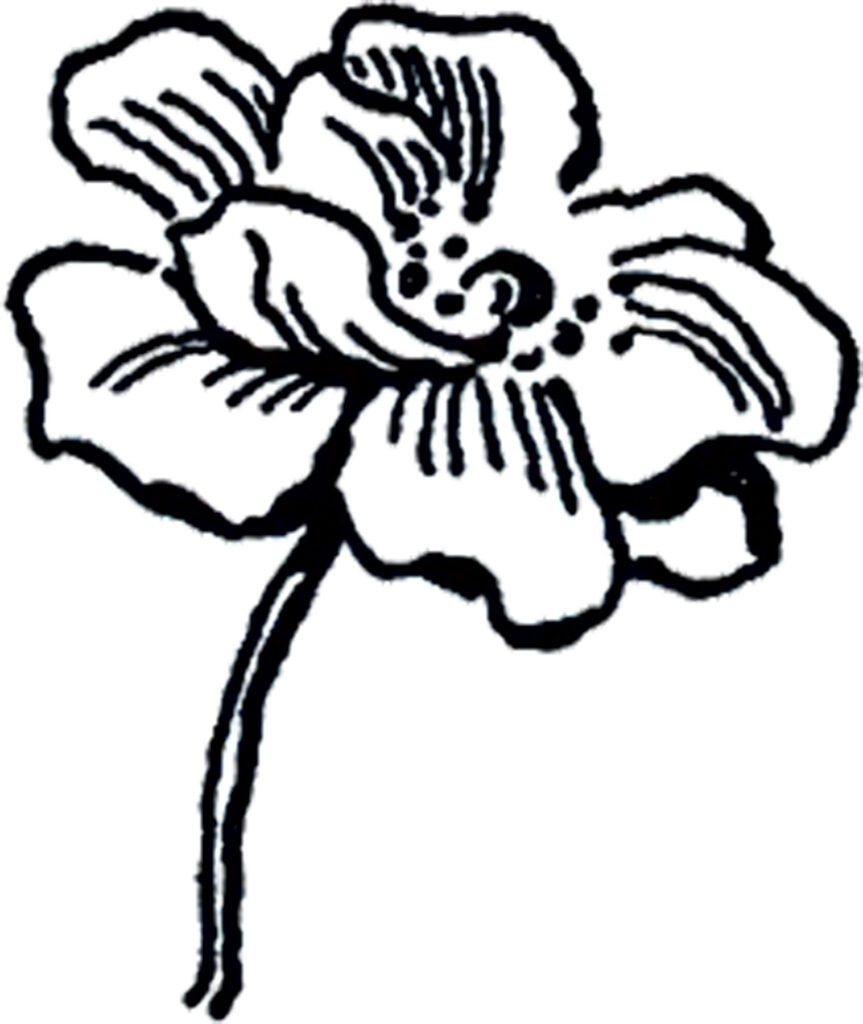 flower line drawing art image