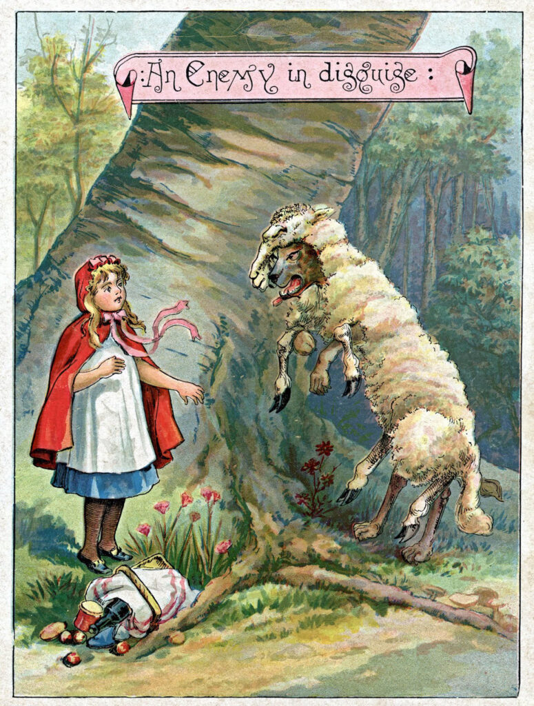 Red Riding Hood sheep forest illustration