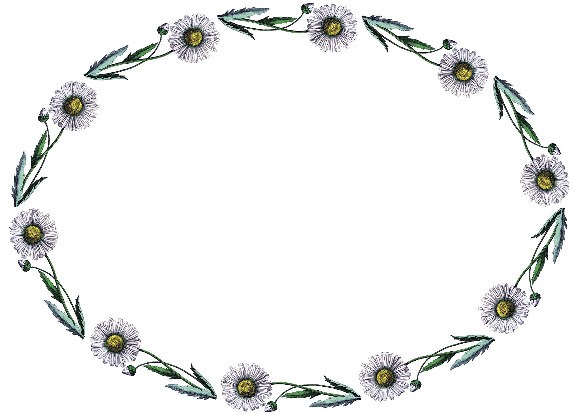 floral wreath graphic