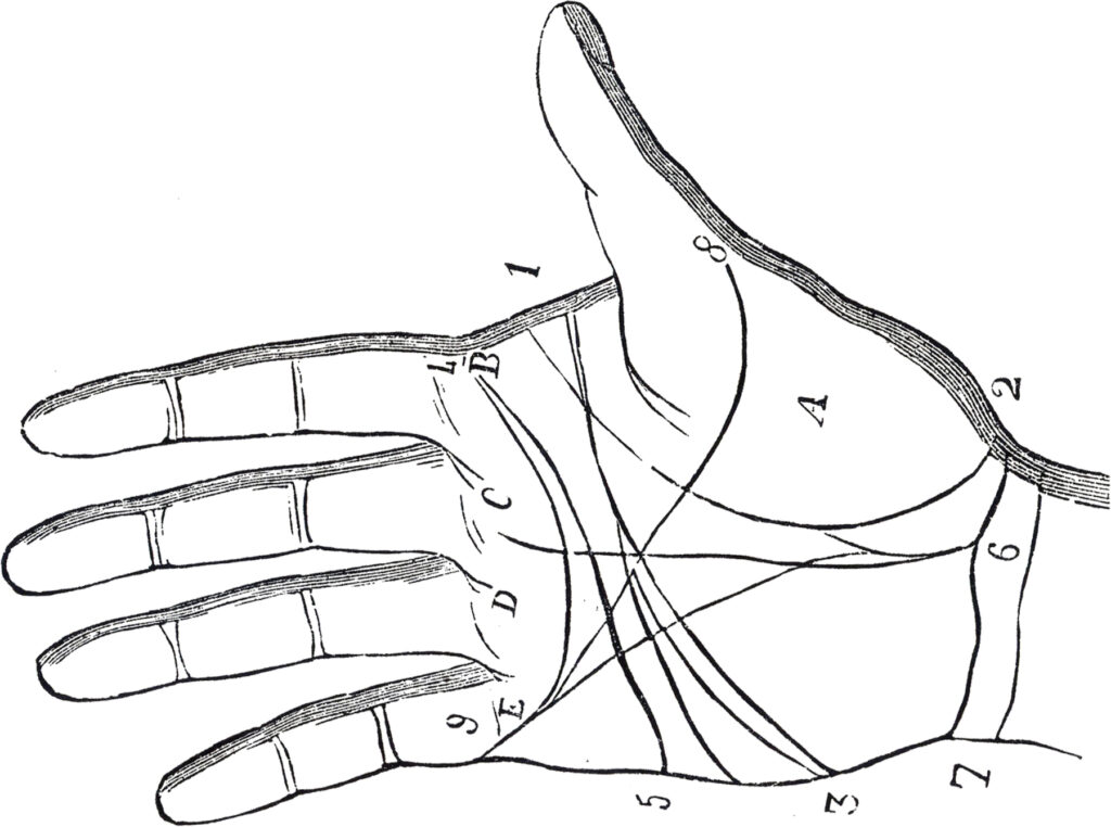 vintage palm reading chart diagram clipart