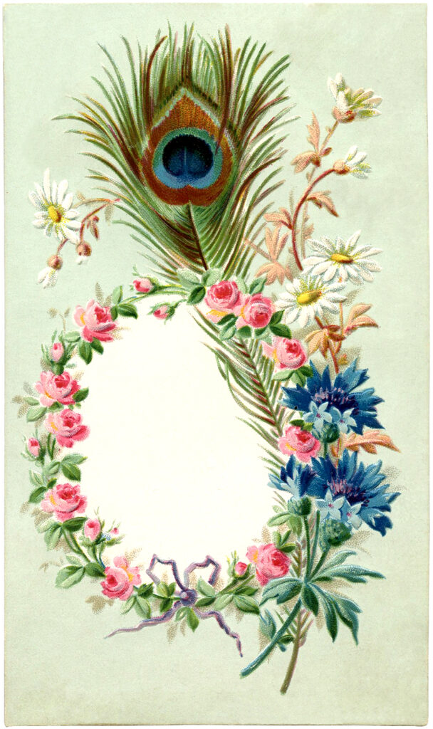 floral wreath frame peacock feather illustration