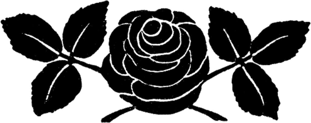 vintage rose silhouette illustration