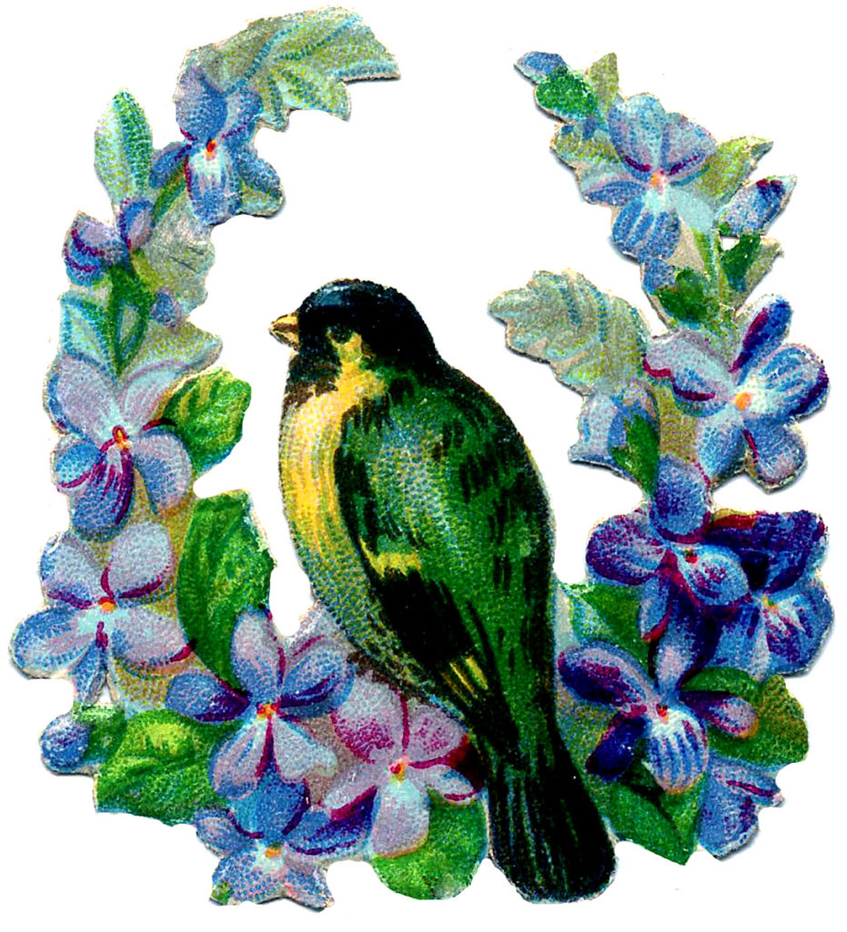 blue flowers bird illustration