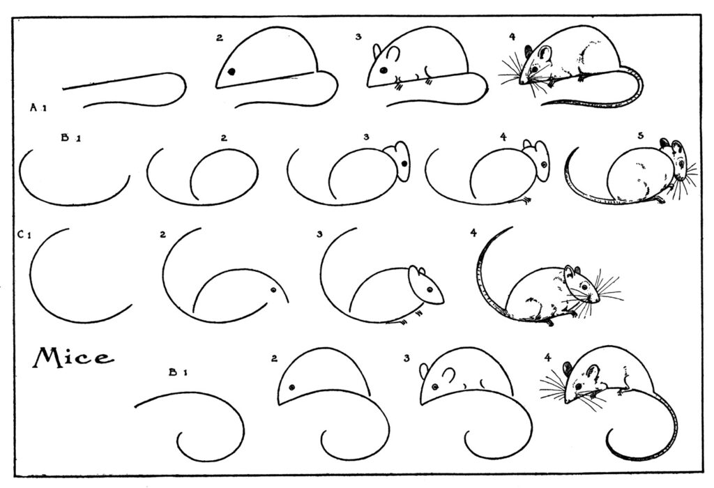 draw mice vintage drawing tutorial image