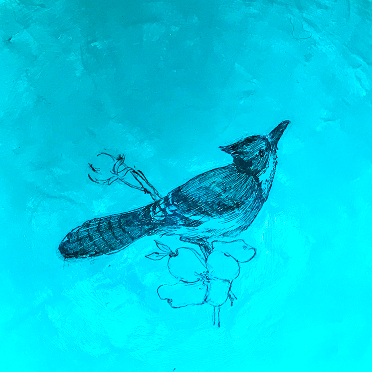 Close up of Blue Jay transfer inside of paper mache bowl