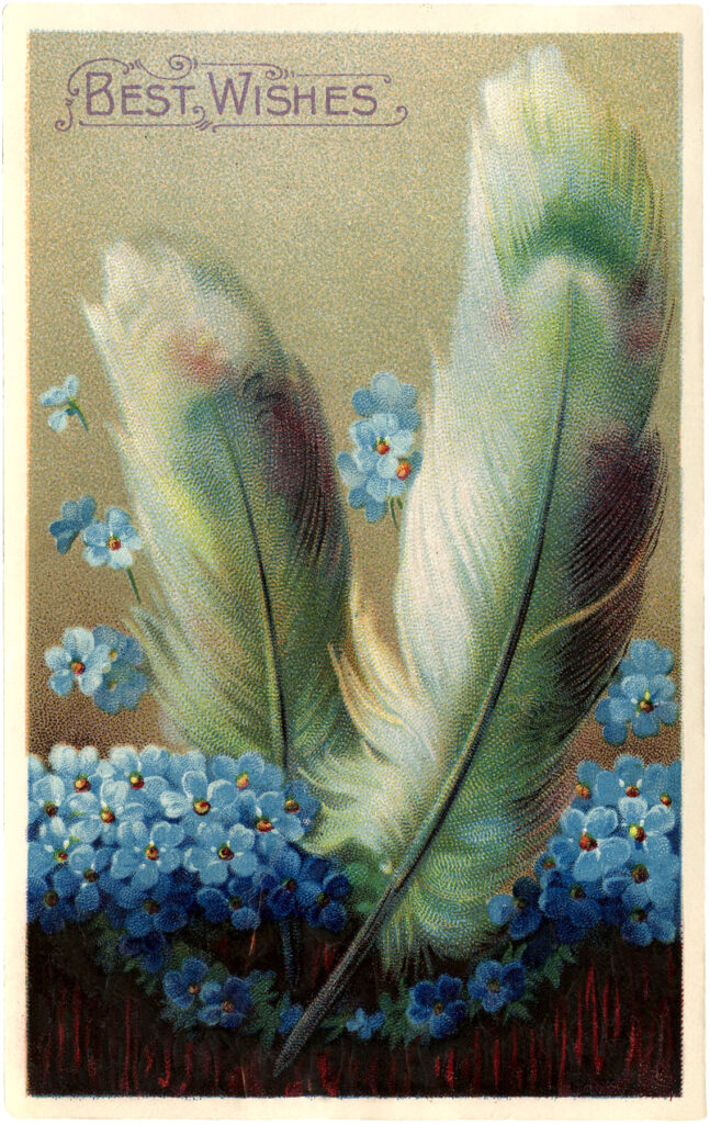 vintage greeting feathers blue flowers image