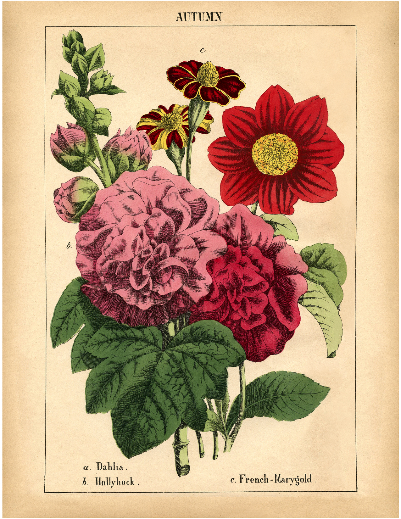 victorian flower print