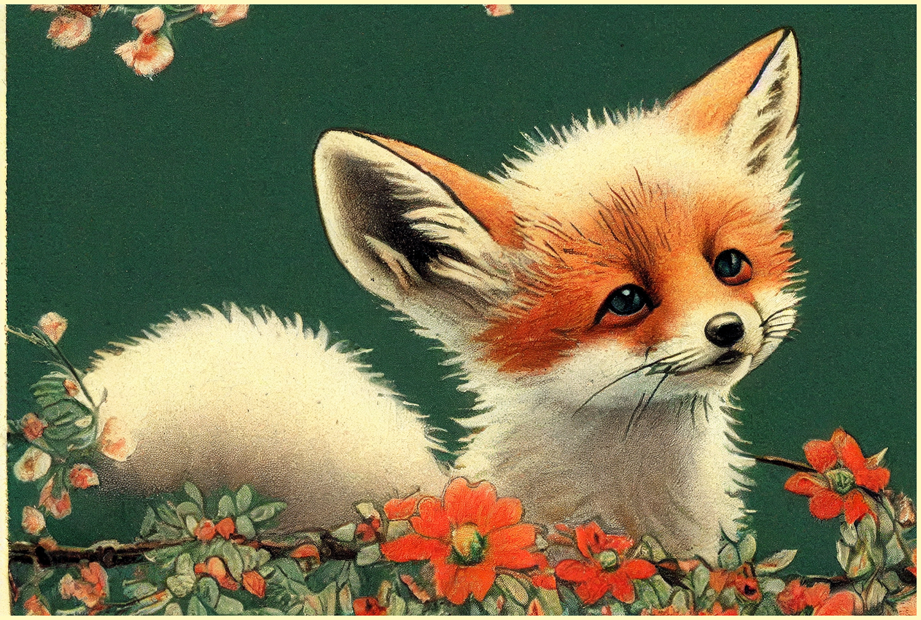 Baby Fox Illustration