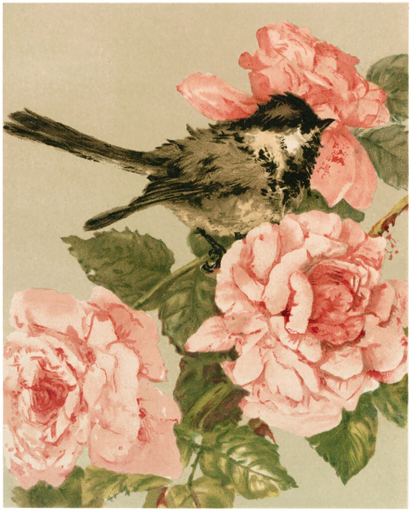 bird with pink flowers picture